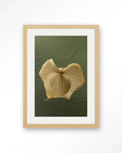 Leaf Me: In The Green - Moderne Wanddecoratie | Artprint, Glass Art, Wandkleed by Urban Cotton