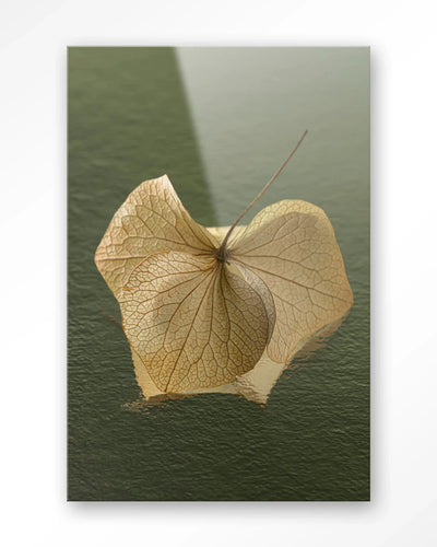 Leaf Me: In The Green - Moderne Wanddecoratie | Artprint, Glass Art, Wandkleed by Urban Cotton