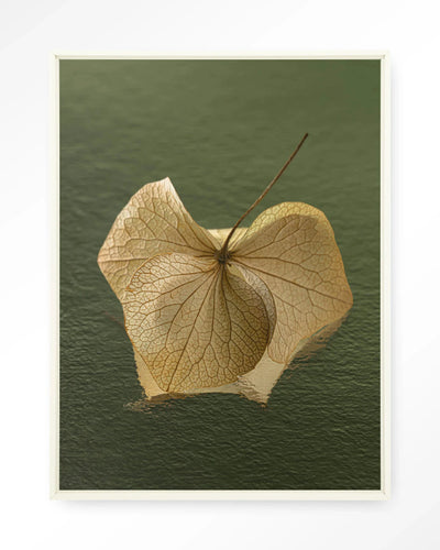 Leaf Me: In The Green - Moderne Wanddecoratie | Artprint, Glass Art, Wandkleed by Urban Cotton