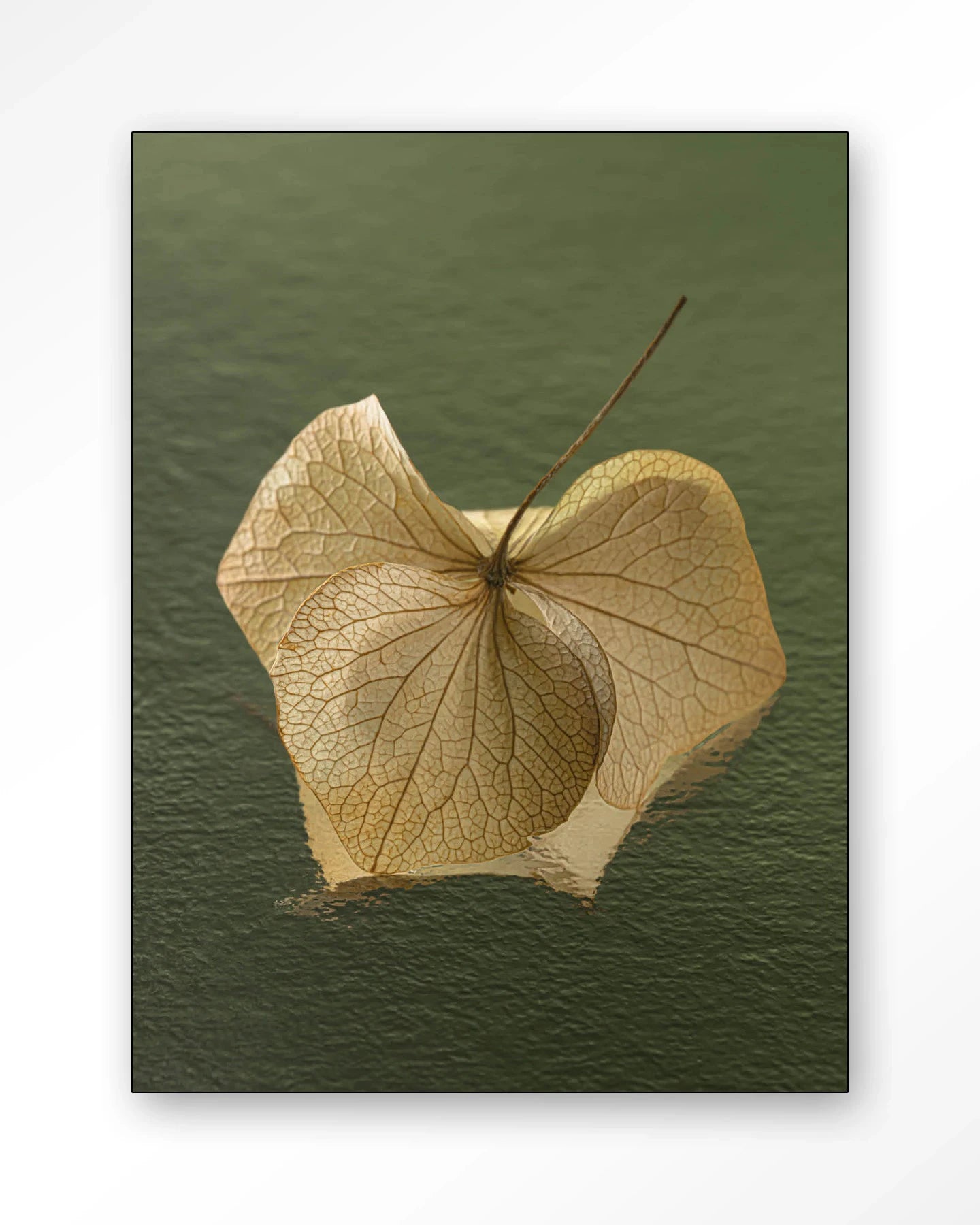 Leaf Me: In The Green - Moderne Wanddecoratie | Artprint, Glass Art, Wandkleed by Urban Cotton