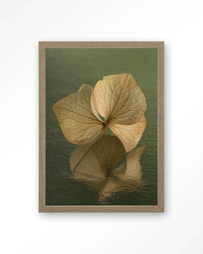 Leaf Me: In Reflection - Moderne Wanddecoratie | Artprint, Glass Art, Wandkleed by Urban Cotton