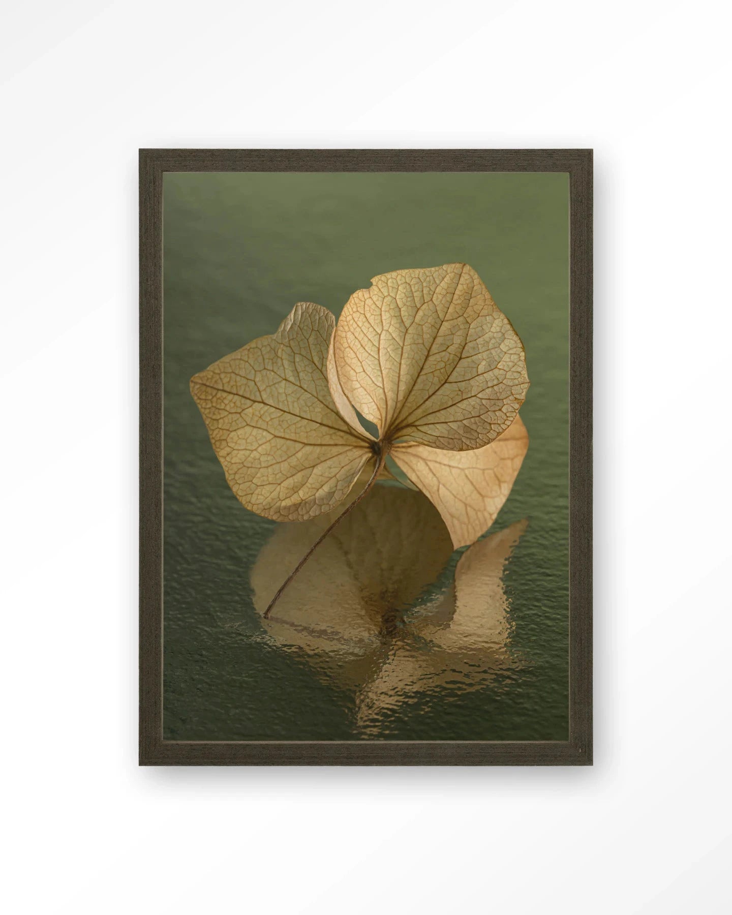 Leaf Me: In Reflection - Moderne Wanddecoratie | Artprint, Glass Art, Wandkleed by Urban Cotton