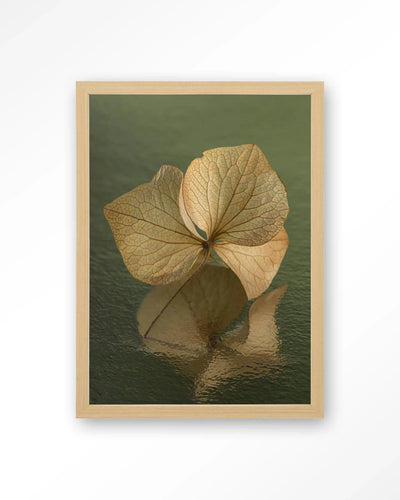Leaf Me: In Reflection - Moderne Wanddecoratie | Artprint, Glass Art, Wandkleed by Urban Cotton