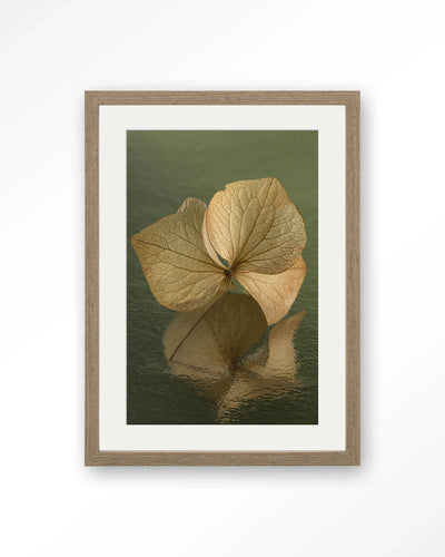 Leaf Me: In Reflection - Moderne Wanddecoratie | Artprint, Glass Art, Wandkleed by Urban Cotton