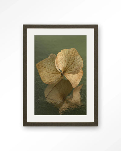 Leaf Me: In Reflection - Moderne Wanddecoratie | Artprint, Glass Art, Wandkleed by Urban Cotton