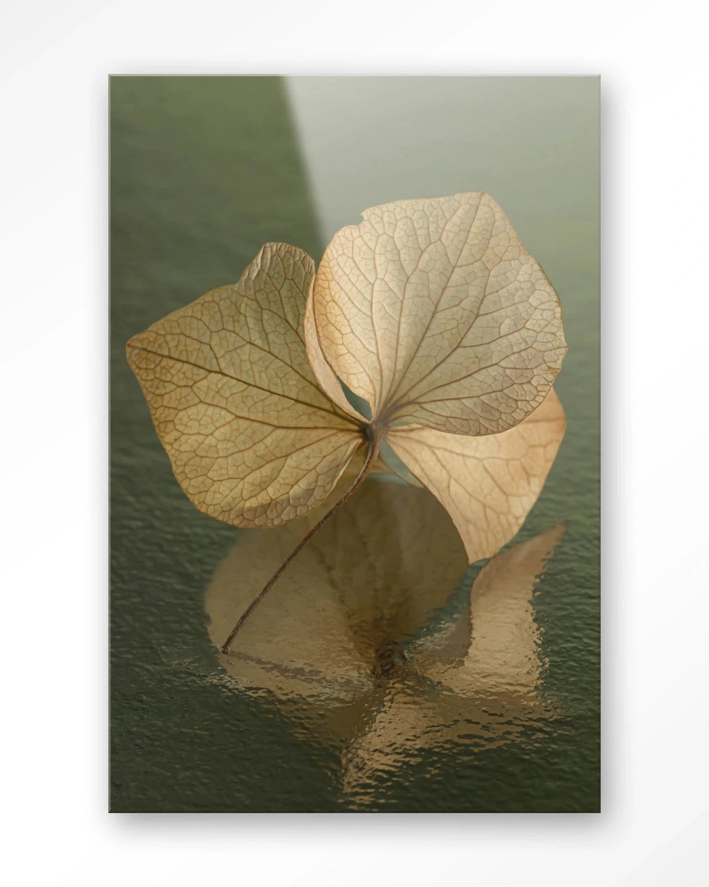 Leaf Me: In Reflection - Moderne Wanddecoratie | Artprint, Glass Art, Wandkleed by Urban Cotton