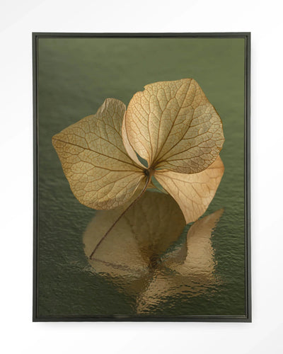 Leaf Me: In Reflection - Moderne Wanddecoratie | Artprint, Glass Art, Wandkleed by Urban Cotton