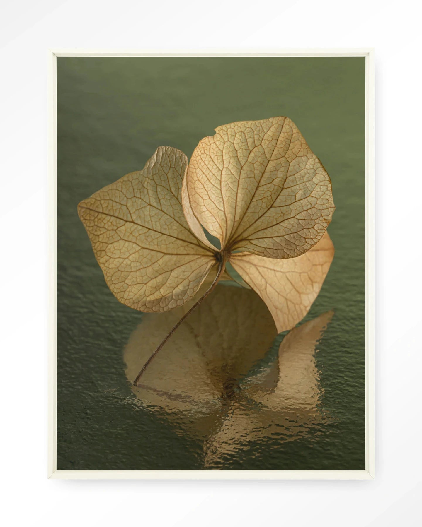 Leaf Me: In Reflection - Moderne Wanddecoratie | Artprint, Glass Art, Wandkleed by Urban Cotton