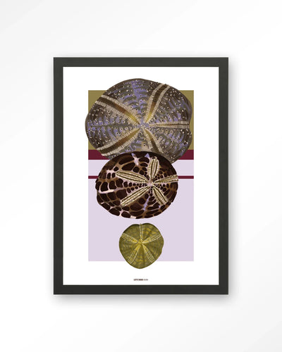 Marinus 1 - Moderne Wanddecoratie | Artprint, Glass Art, Wandkleed by Urban Cotton