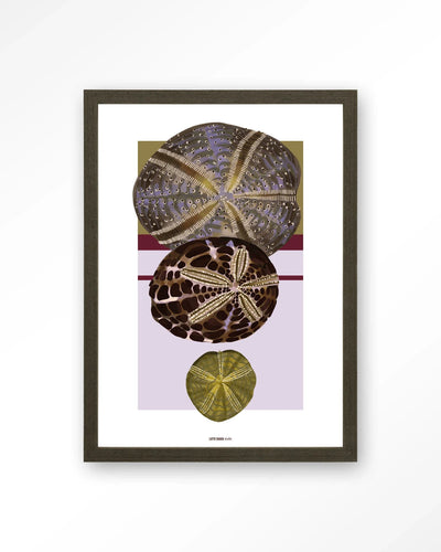 Marinus 1 - Moderne Wanddecoratie | Artprint, Glass Art, Wandkleed by Urban Cotton