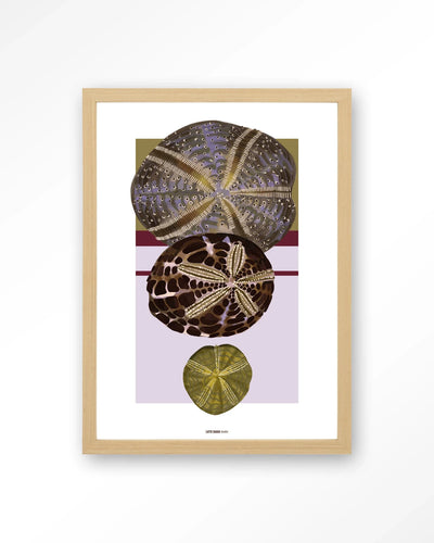 Marinus 1 - Moderne Wanddecoratie | Artprint, Glass Art, Wandkleed by Urban Cotton
