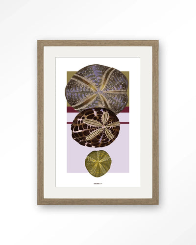 Marinus 1 - Moderne Wanddecoratie | Artprint, Glass Art, Wandkleed by Urban Cotton