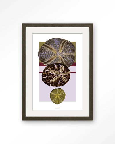 Marinus 1 - Moderne Wanddecoratie | Artprint, Glass Art, Wandkleed by Urban Cotton