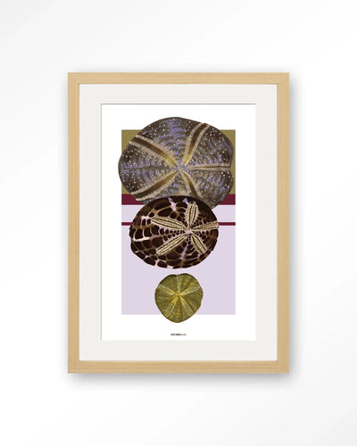 Marinus 1 - Moderne Wanddecoratie | Artprint, Glass Art, Wandkleed by Urban Cotton