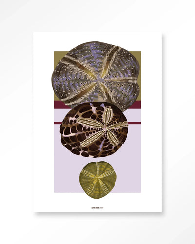 Marinus 1 - Moderne Wanddecoratie | Artprint, Glass Art, Wandkleed by Urban Cotton