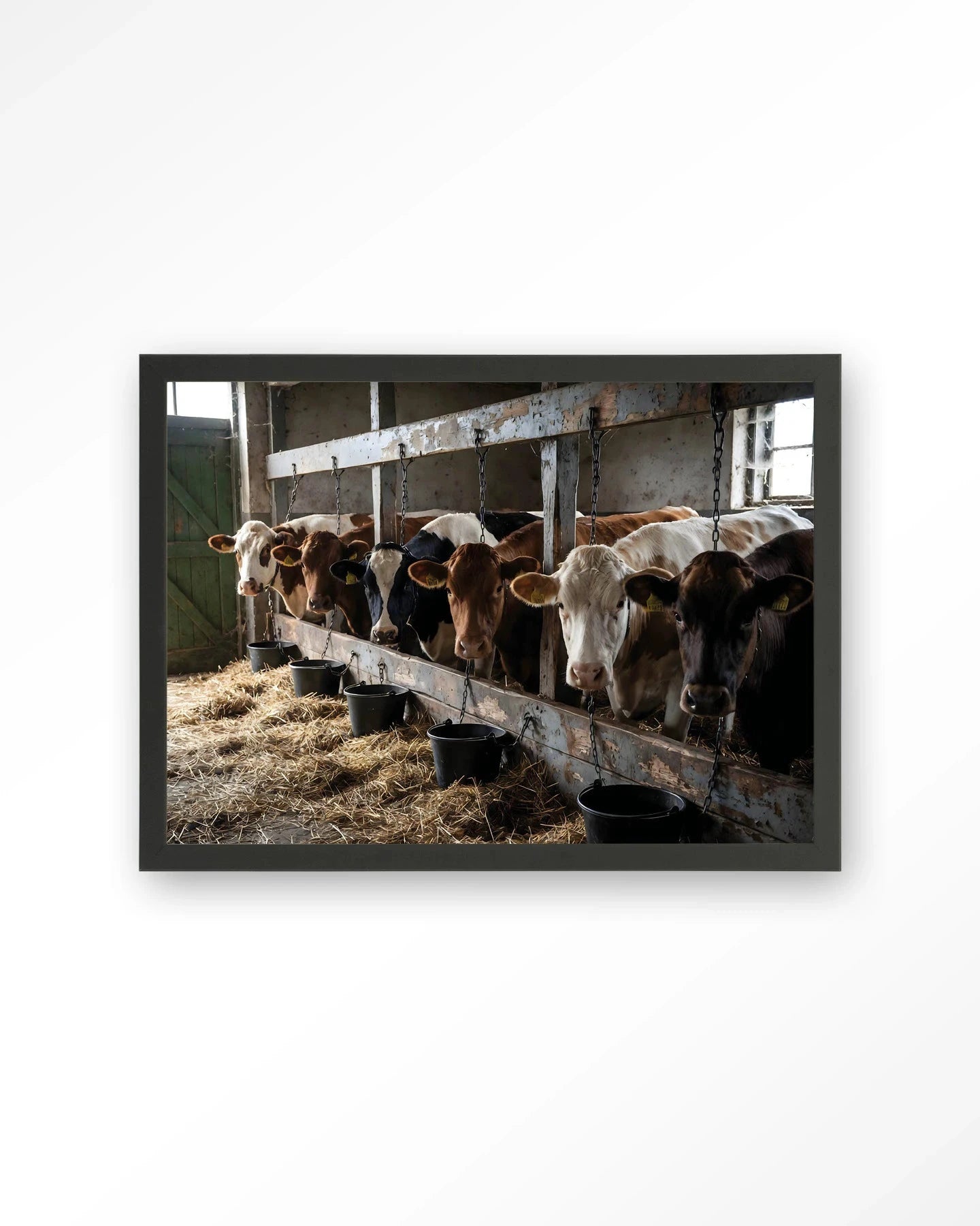 The Cow Barn - Moderne Wanddecoratie | Artprint, Glass Art, Wandkleed by Urban Cotton