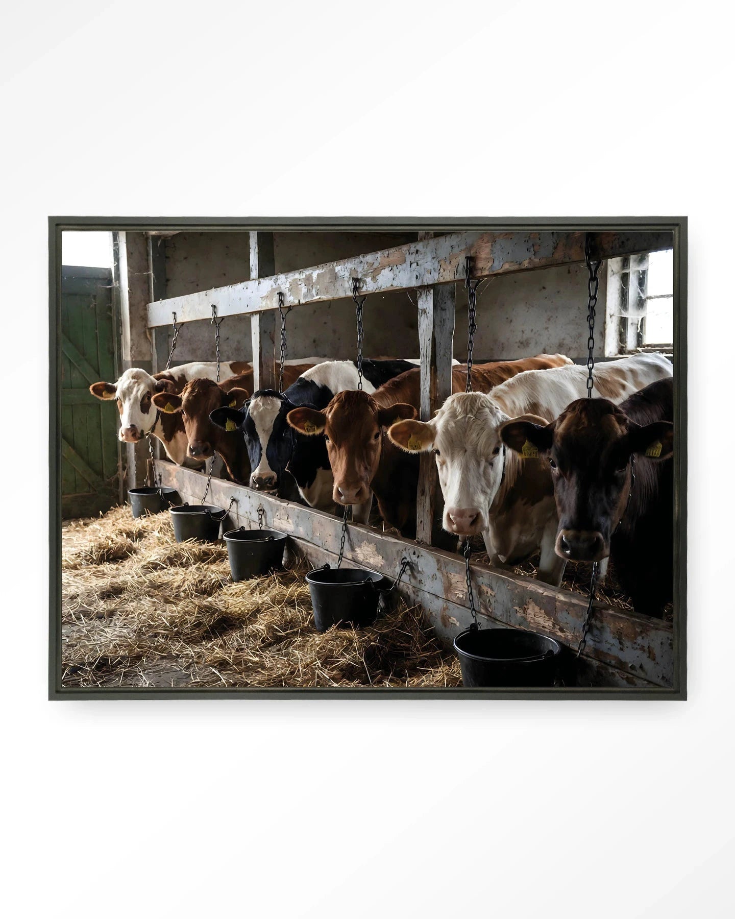 The Cow Barn - Moderne Wanddecoratie | Artprint, Glass Art, Wandkleed by Urban Cotton