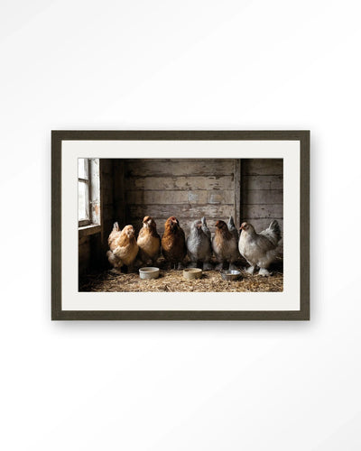 The Chicken Barn - Moderne Wanddecoratie | Artprint, Glass Art, Wandkleed by Urban Cotton
