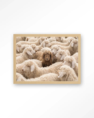 The Herd - Moderne Wanddecoratie | Artprint, Glass Art, Wandkleed by Urban Cotton