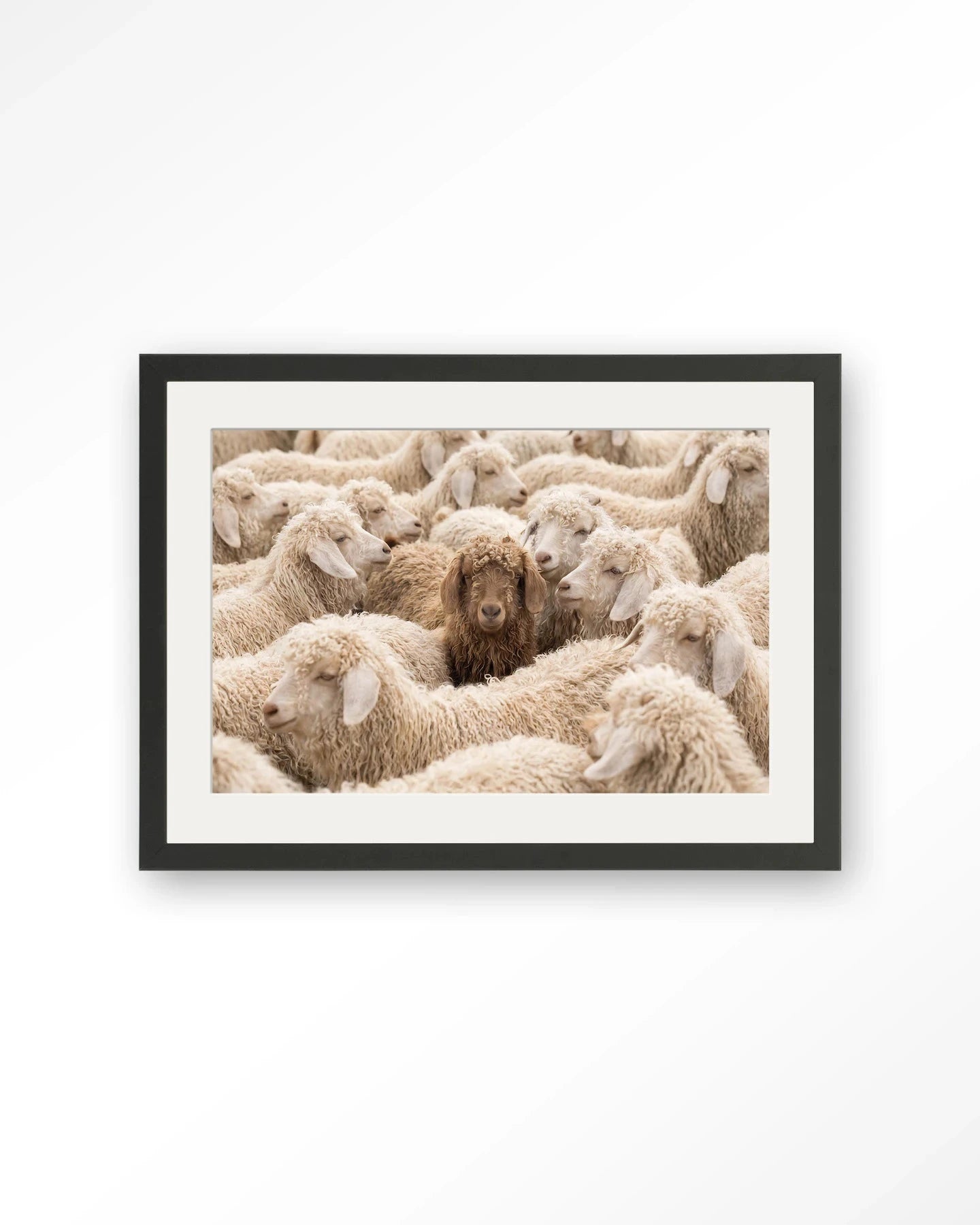 The Herd - Moderne Wanddecoratie | Artprint, Glass Art, Wandkleed by Urban Cotton