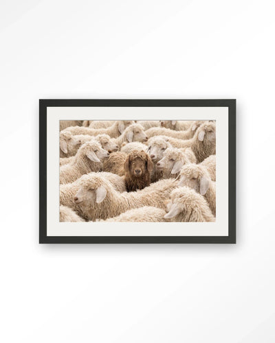 The Herd - Moderne Wanddecoratie | Artprint, Glass Art, Wandkleed by Urban Cotton