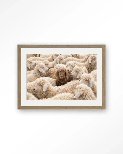 The Herd - Moderne Wanddecoratie | Artprint, Glass Art, Wandkleed by Urban Cotton