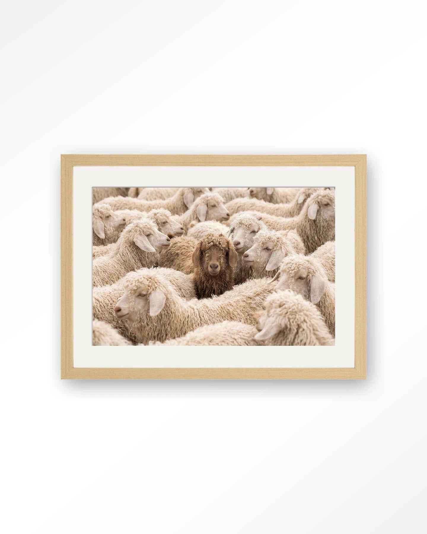 The Herd - Moderne Wanddecoratie | Artprint, Glass Art, Wandkleed by Urban Cotton