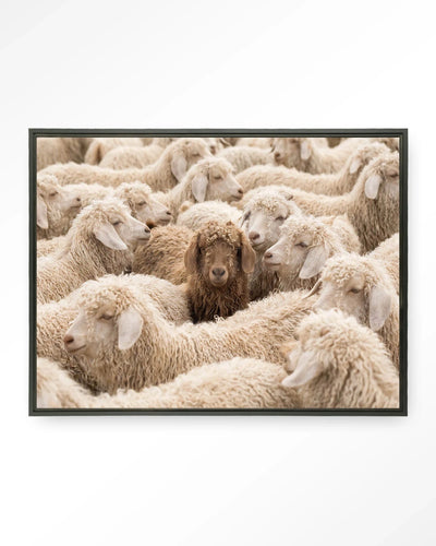 The Herd - Moderne Wanddecoratie | Artprint, Glass Art, Wandkleed by Urban Cotton