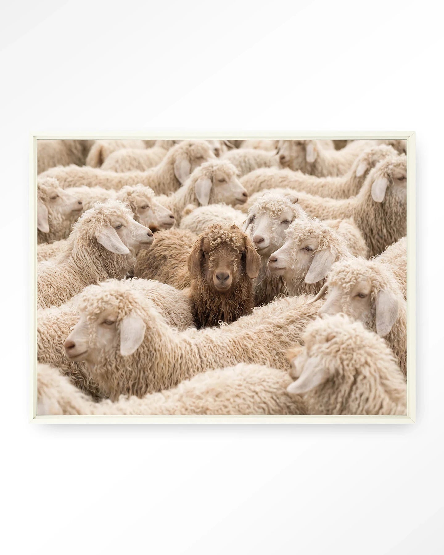 The Herd - Moderne Wanddecoratie | Artprint, Glass Art, Wandkleed by Urban Cotton