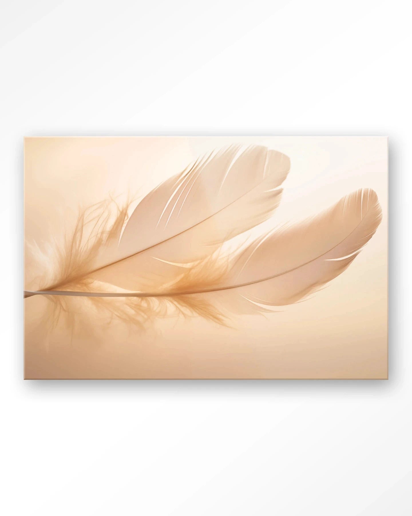 Light Feather - Moderne Wanddecoratie | Artprint, Glass Art, Wandkleed by Urban Cotton