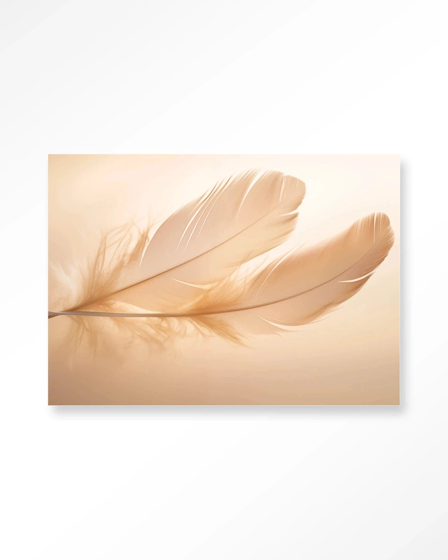 Light Feather - Moderne Wanddecoratie | Artprint, Glass Art, Wandkleed by Urban Cotton