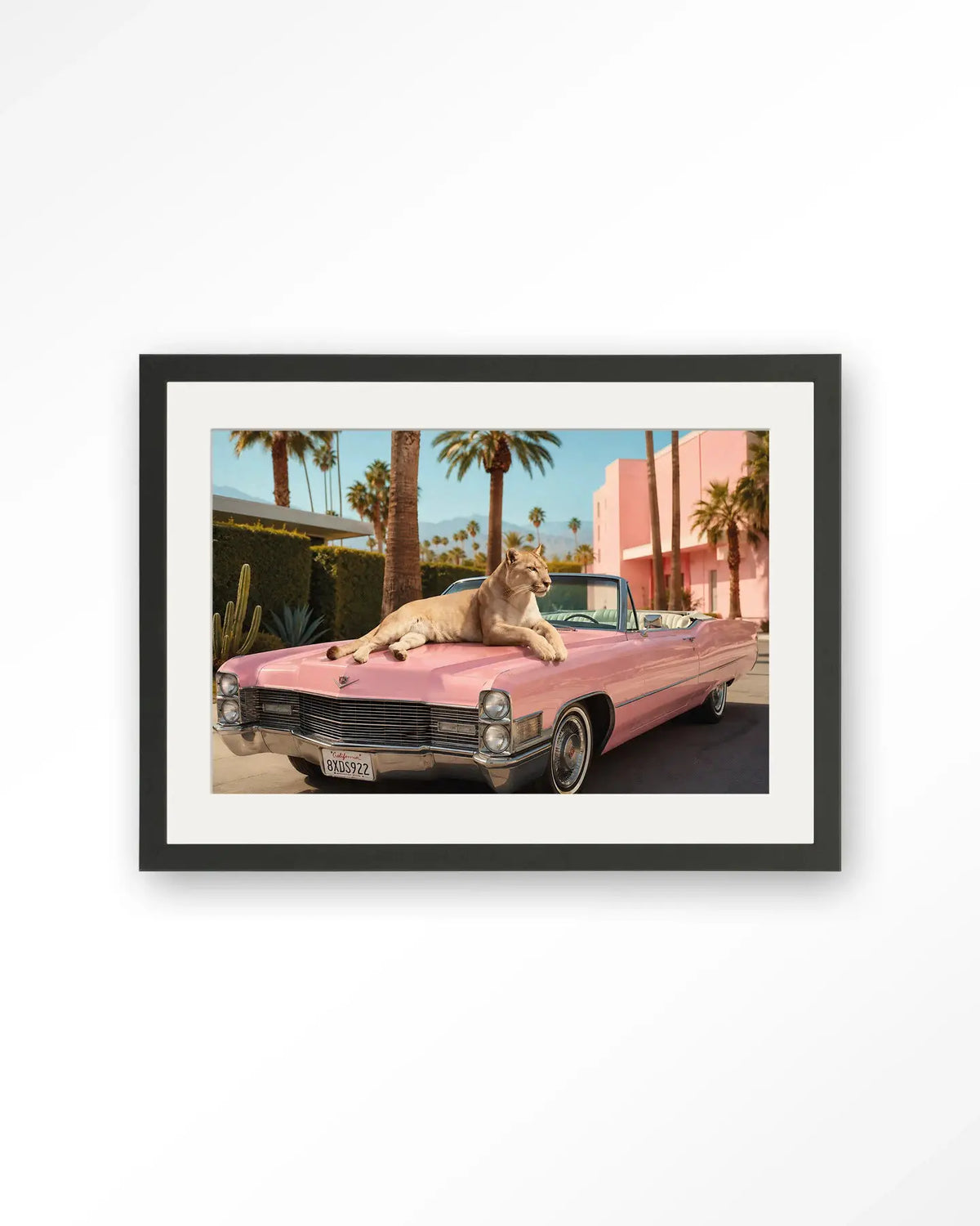 Palm Springs Pet - Moderne Wanddecoratie | Artprint, Glass Art & Wandkleed by Urban Cotton