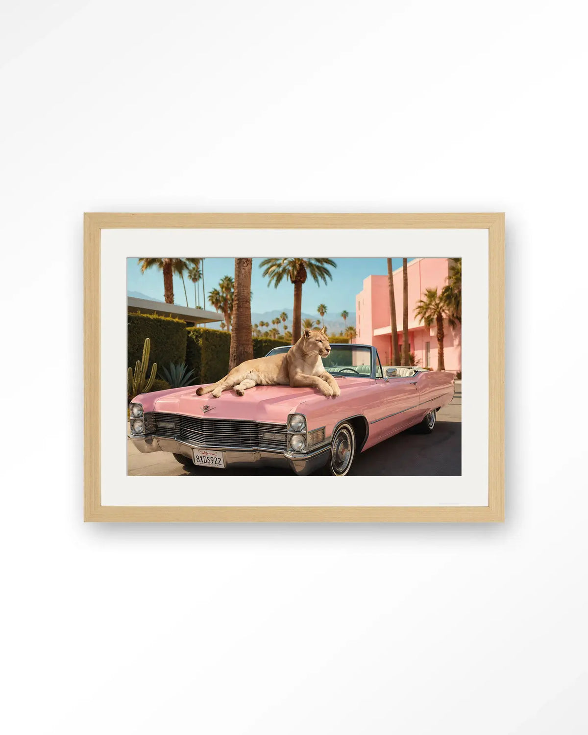 Palm Springs Pet - Moderne Wanddecoratie | Artprint, Glass Art & Wandkleed by Urban Cotton