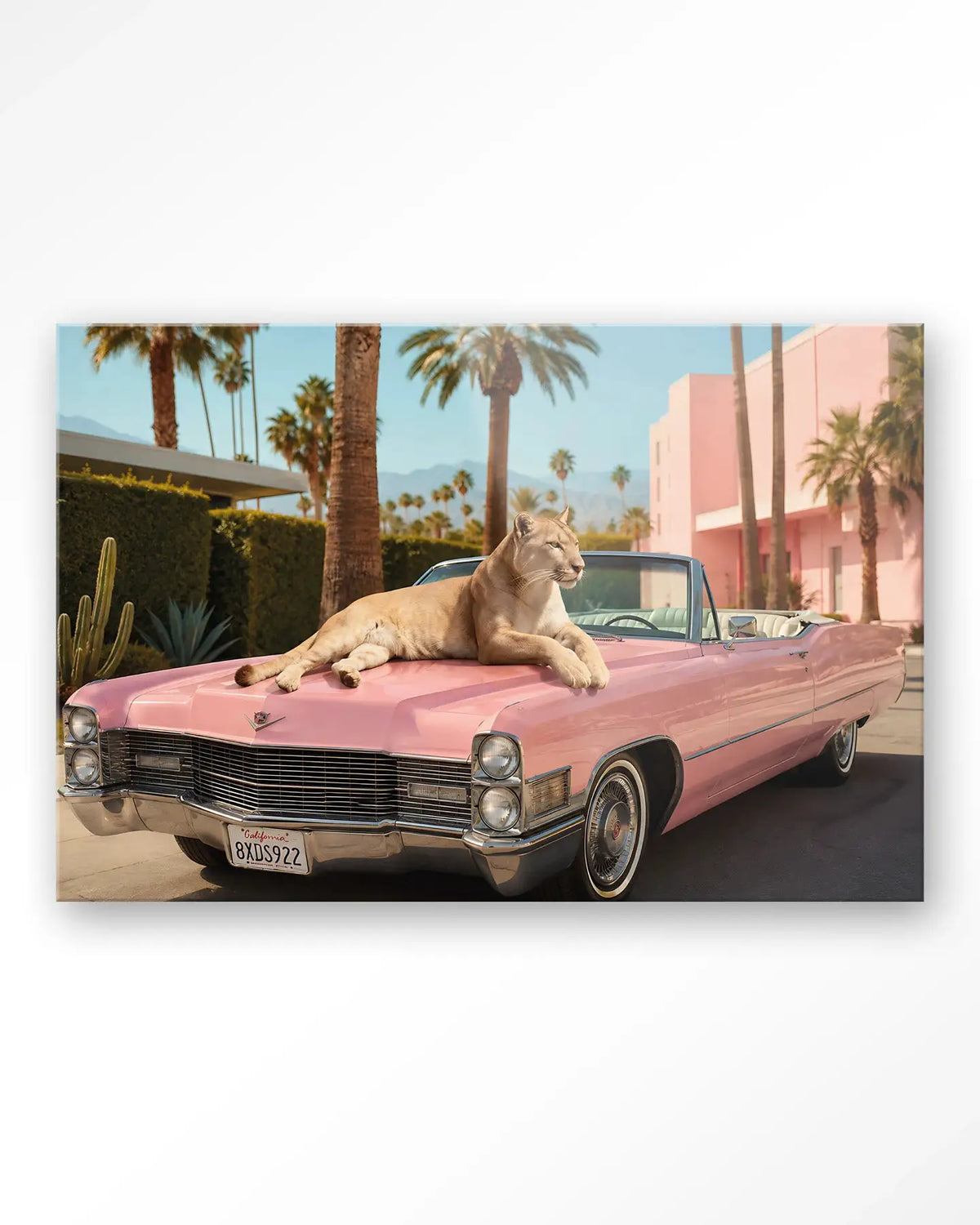 Palm Springs Pet - Moderne Wanddecoratie | Artprint, Glass Art & Wandkleed by Urban Cotton