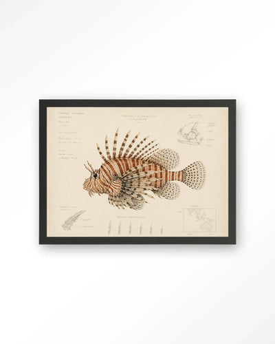 Lion Fish - Moderne Wanddecoratie | Artprint, Glass Art & Wandkleed by Urban Cotton