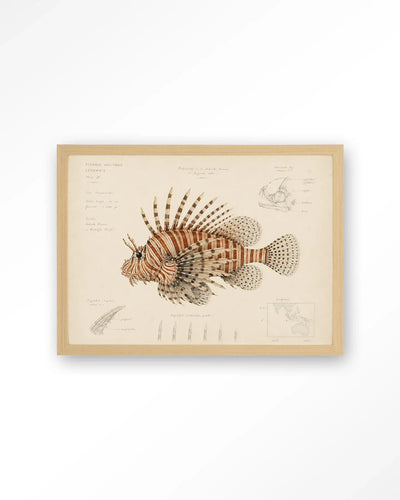 Lion Fish - Moderne Wanddecoratie | Artprint, Glass Art & Wandkleed by Urban Cotton