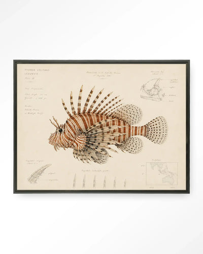 Lion Fish - Moderne Wanddecoratie | Artprint, Glass Art & Wandkleed by Urban Cotton