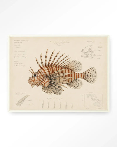 Lion Fish - Moderne Wanddecoratie | Artprint, Glass Art & Wandkleed by Urban Cotton