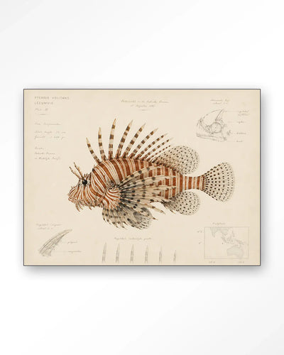 Lion Fish - Moderne Wanddecoratie | Artprint, Glass Art & Wandkleed by Urban Cotton