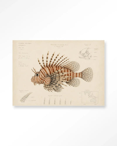 Lion Fish - Moderne Wanddecoratie | Artprint, Glass Art & Wandkleed by Urban Cotton