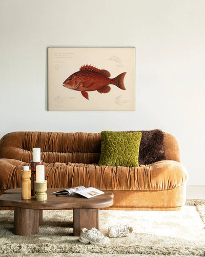 Red Snapper - Moderne Wanddecoratie | Artprint, Glass Art & Wandkleed by Urban Cotton