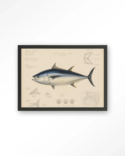 Tuna Fish - Moderne Wanddecoratie | Artprint, Glass Art & Wandkleed by Urban Cotton