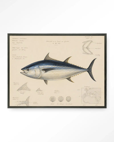 Tuna Fish - Moderne Wanddecoratie | Artprint, Glass Art & Wandkleed by Urban Cotton