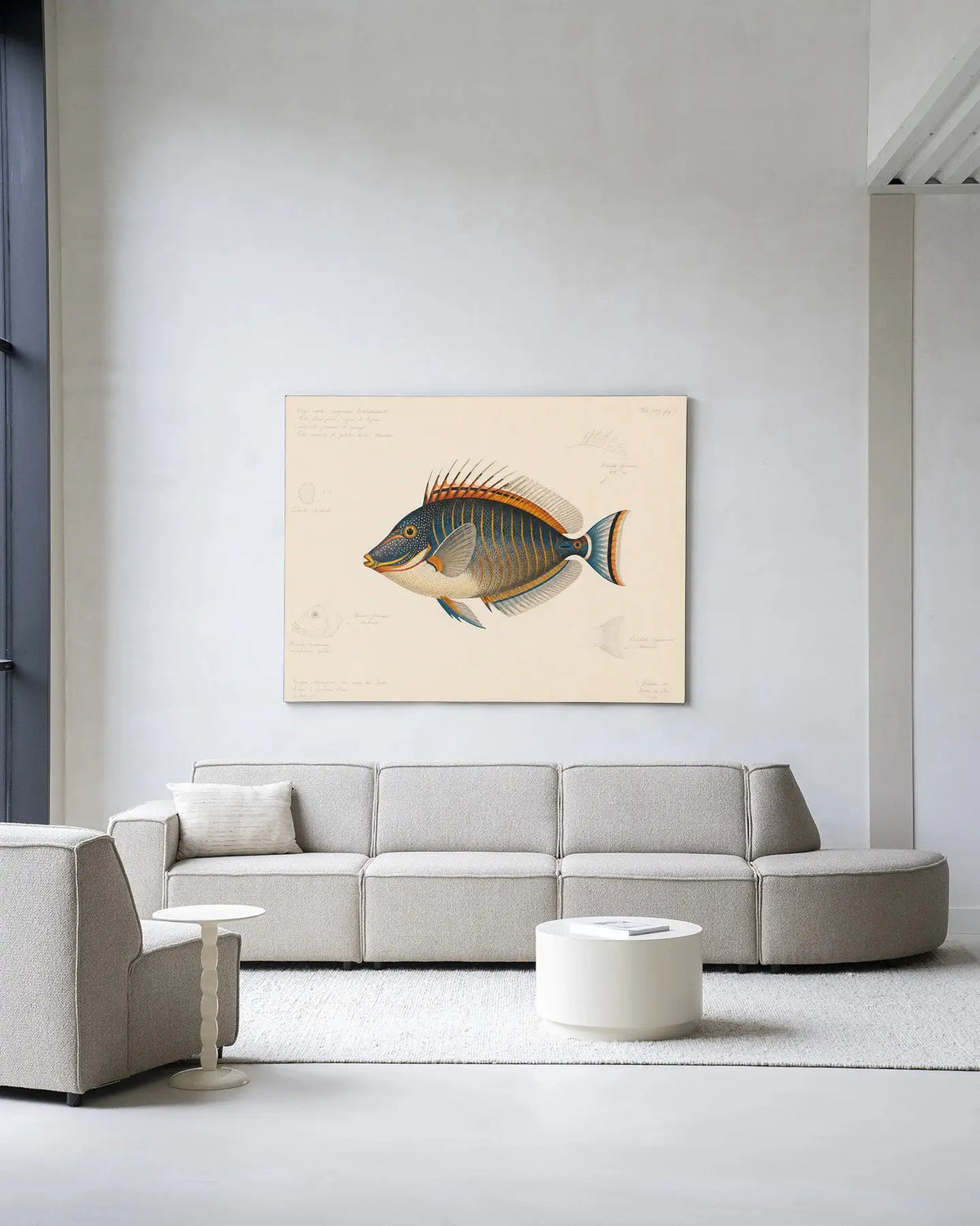 Tropical Fish - Moderne Wanddecoratie | Artprint, Glass Art & Wandkleed by Urban Cotton