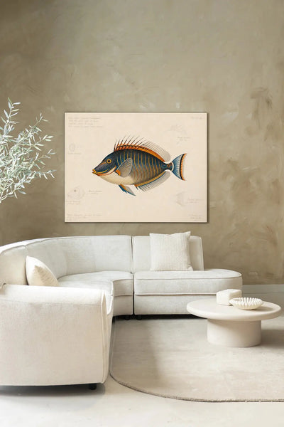 Tropical Fish - Moderne Wanddecoratie | Artprint, Glass Art & Wandkleed by Urban Cotton