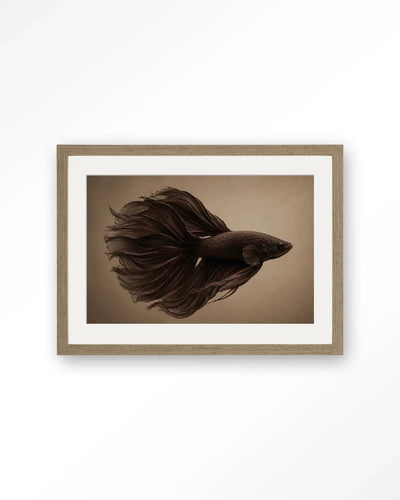 Brown Fish - Moderne Wanddecoratie | Artprint, Glass Art & Wandkleed by Urban Cotton