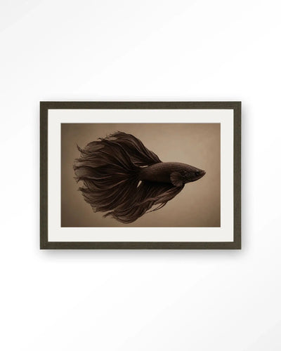 Brown Fish - Moderne Wanddecoratie | Artprint, Glass Art & Wandkleed by Urban Cotton