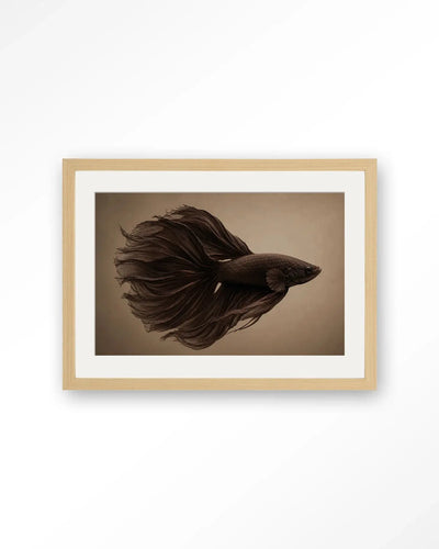 Brown Fish - Moderne Wanddecoratie | Artprint, Glass Art & Wandkleed by Urban Cotton