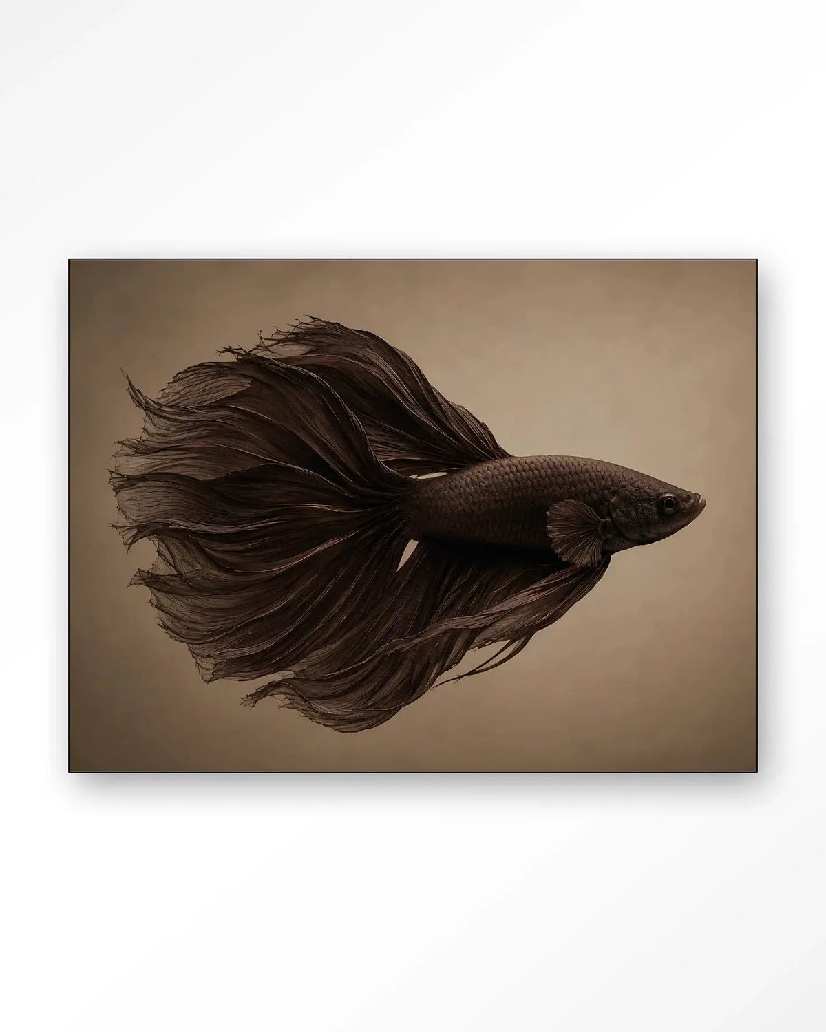 Brown Fish - Moderne Wanddecoratie | Artprint, Glass Art & Wandkleed by Urban Cotton
