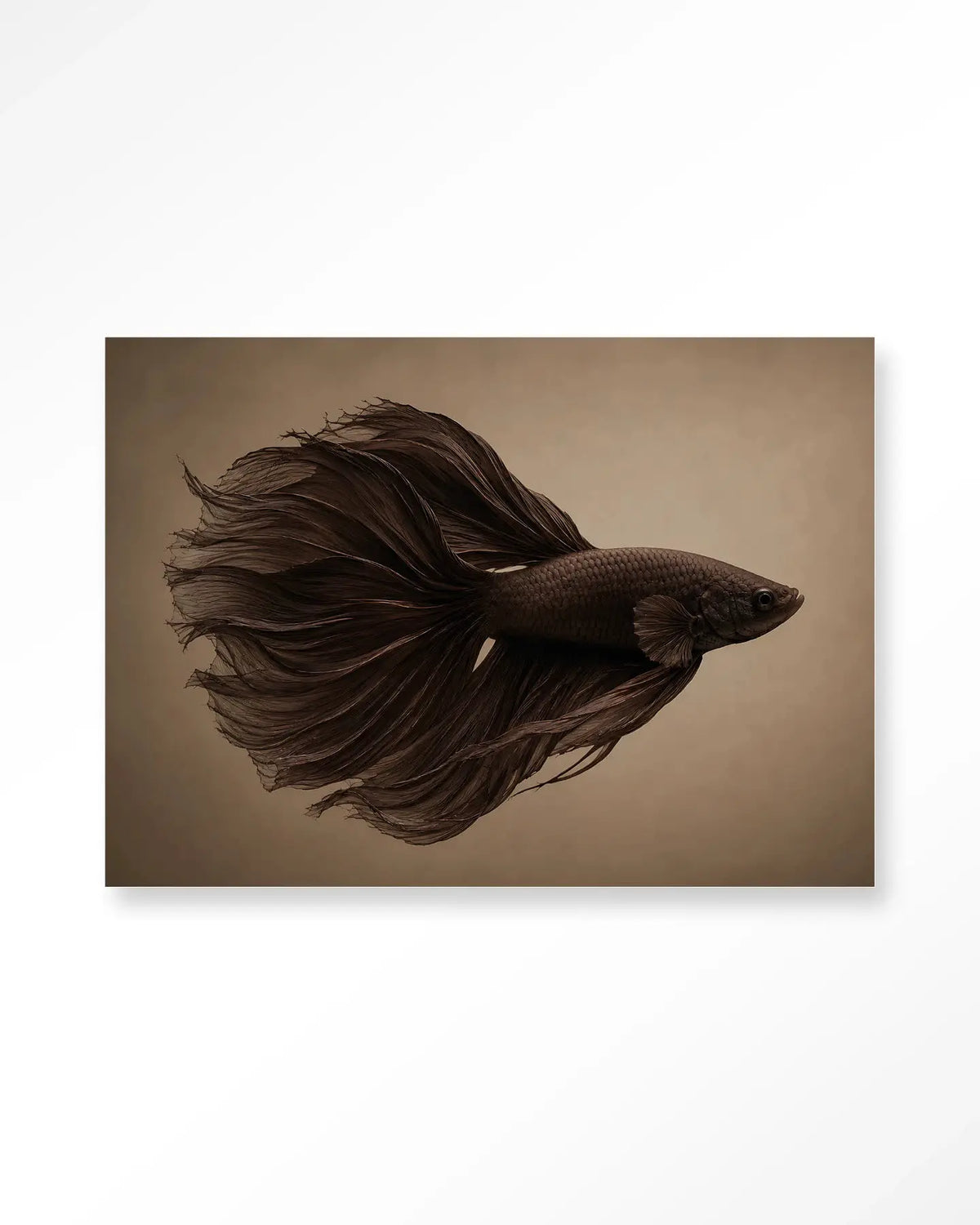 Brown Fish - Moderne Wanddecoratie | Artprint, Glass Art & Wandkleed by Urban Cotton